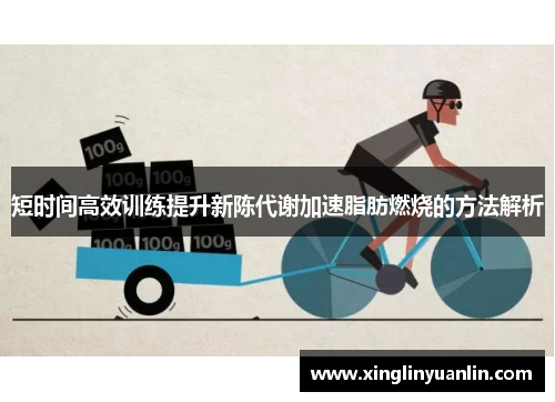 短时间高效训练提升新陈代谢加速脂肪燃烧的方法解析