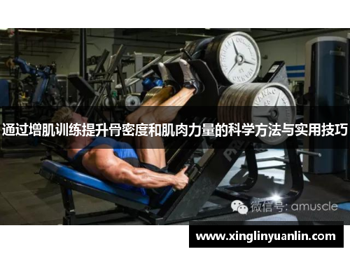 通过增肌训练提升骨密度和肌肉力量的科学方法与实用技巧