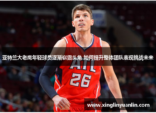 亚特兰大老鹰年轻球员逐渐崭露头角 如何提升整体团队表现挑战未来