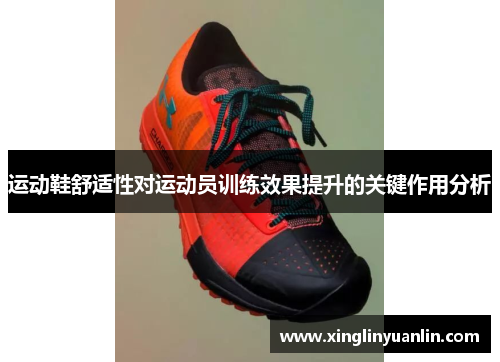 运动鞋舒适性对运动员训练效果提升的关键作用分析