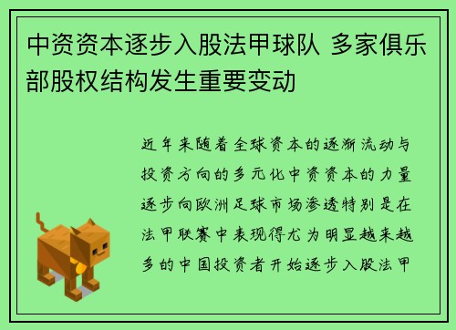 中资资本逐步入股法甲球队 多家俱乐部股权结构发生重要变动