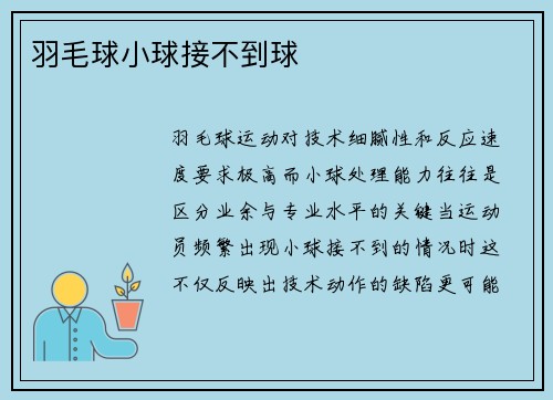 羽毛球小球接不到球