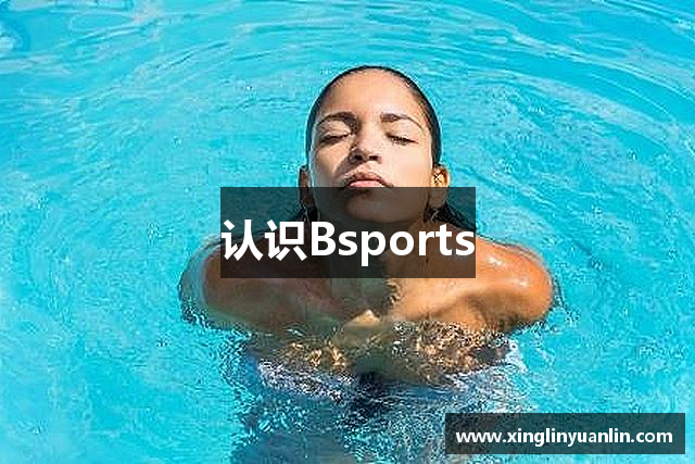 认识Bsports